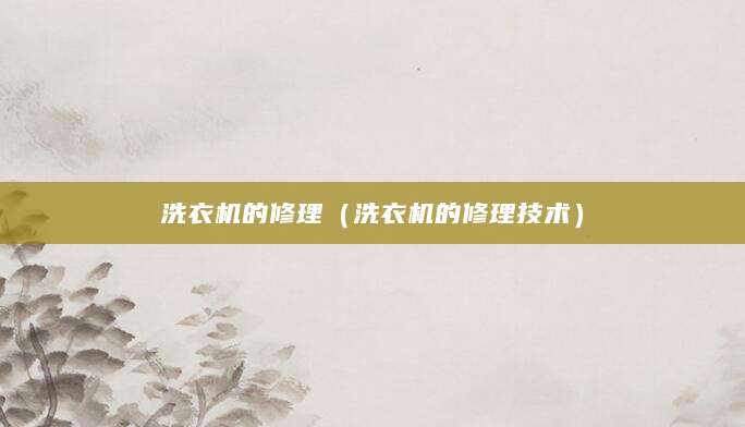 洗衣机的修理（洗衣机的修理技术）