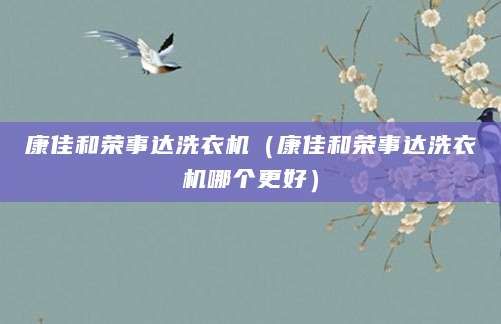 康佳和荣事达洗衣机(康佳和荣事达洗衣机哪个更好)