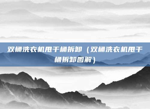 双桶洗衣机甩干桶拆卸（双桶洗衣机甩干桶拆卸图解）