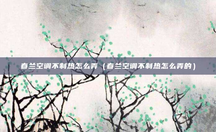春兰空调不制热怎么弄（春兰空调不制热怎么弄的）