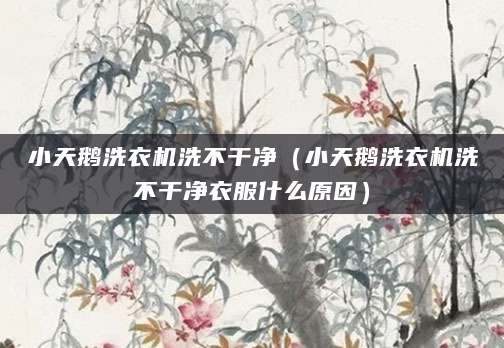 小天鹅洗衣机洗不干净（小天鹅洗衣机洗不干净衣服什么原因）
