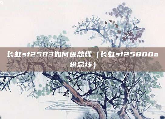 长虹sf2583如何进总线（长虹sf25800a进总线）