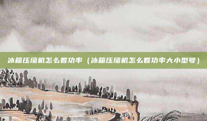 冰箱压缩机怎么看功率（冰箱压缩机怎么看功率大小型号）