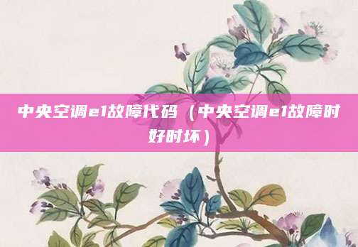 中央空调e1故障代码（中央空调e1故障时好时坏）