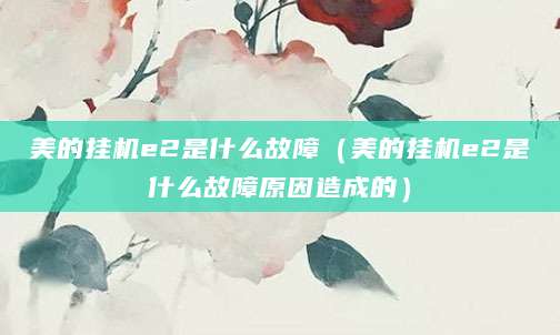 美的挂机e2是什么故障（美的挂机e2是什么故障原因造成的）