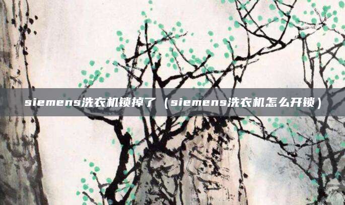 siemens洗衣机锁掉了（siemens洗衣机怎么开锁）