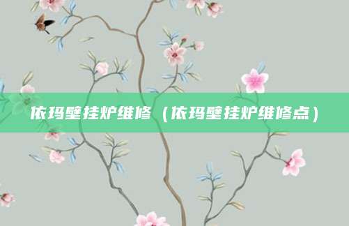 依玛壁挂炉维修（依玛壁挂炉维修点）