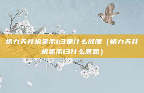 格力天井机显示h3是什么故障（格力天井机显示l3什么意思）