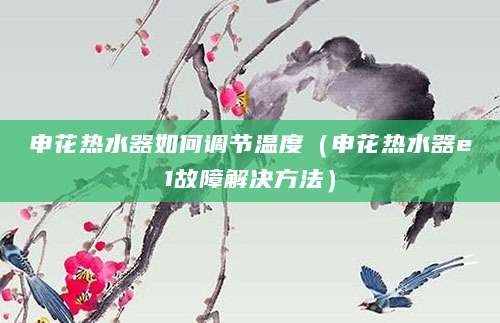 申花热水器如何调节温度（申花热水器e1故障解决方法）