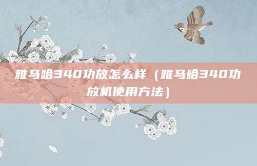 雅马哈340功放怎么样（雅马哈340功放机使用方法）