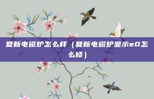 夏新电磁炉怎么样（夏新电磁炉显示e0怎么修）