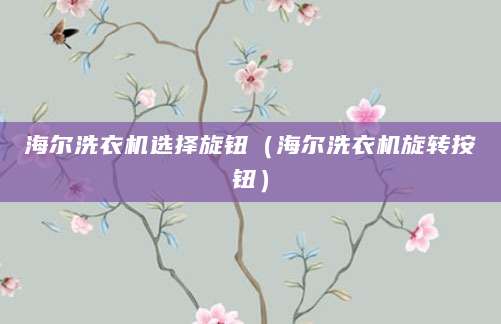 海尔洗衣机选择旋钮（海尔洗衣机旋转按钮）