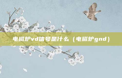 电磁炉vd信号是什么（电磁炉gnd）