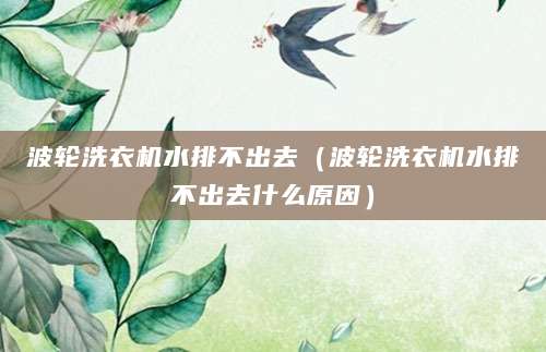 波轮洗衣机水排不出去（波轮洗衣机水排不出去什么原因）