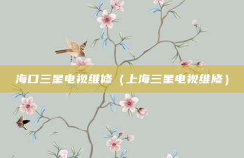 海口三星电视维修（上海三星电视维修）