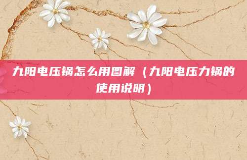 九阳电压锅怎么用图解（九阳电压力锅的使用说明）