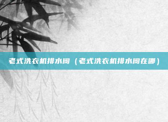 老式洗衣机排水阀（老式洗衣机排水阀在哪）