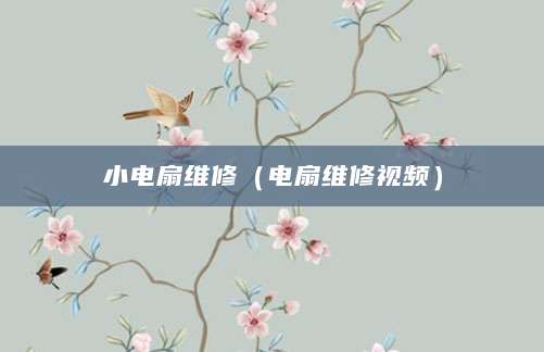 小电扇维修（电扇维修视频）