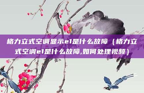 格力立式空调显示e1是什么故障（格力立式空调e1是什么故障,如何处理视频）