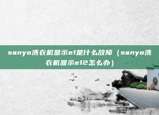 sanyo洗衣机显示e1是什么故障(sanyo洗衣机显示e12怎么办)