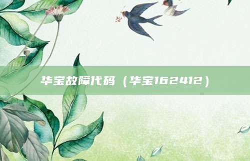 华宝故障代码（华宝162412）
