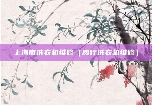 上海市洗衣机维修（闵行洗衣机维修）