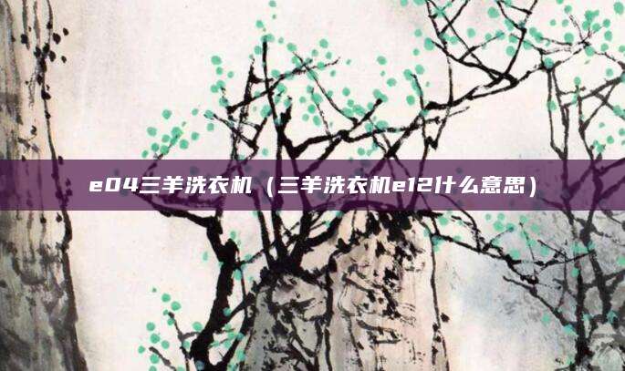e04三羊洗衣机（三羊洗衣机e12什么意思）