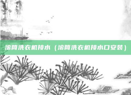 滚筒洗衣机接水(滚筒洗衣机接水口安装)