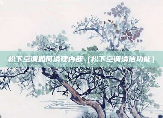松下空调如何清理内部(松下空调清洁功能)