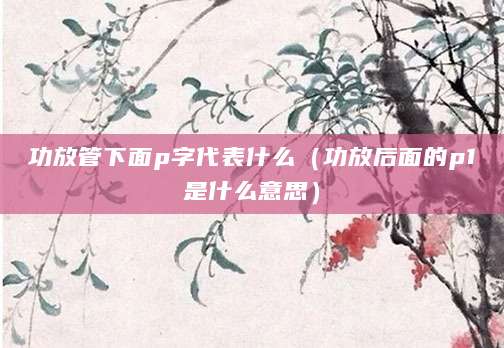 功放管下面p字代表什么(功放后面的p1是什么意思)