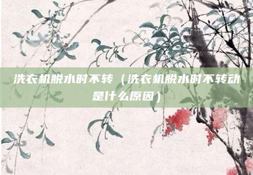 洗衣机脱水时不转(洗衣机脱水时不转动是什么原因)