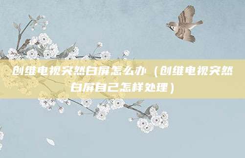 创维电视突然白屏怎么办（创维电视突然白屏自己怎样处理）