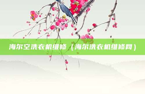 海尔空洗衣机维修（海尔洗衣机维修网）