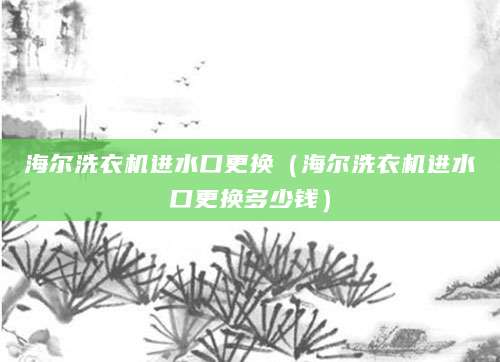 海尔洗衣机进水口更换（海尔洗衣机进水口更换多少钱）