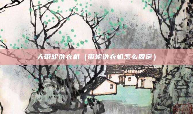大带轮洗衣机（带轮洗衣机怎么固定）