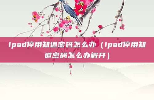 ipad停用知道密码怎么办（ipad停用知道密码怎么办解开）
