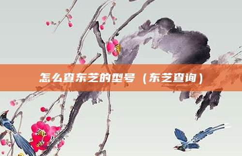 怎么查东芝的型号（东芝查询）