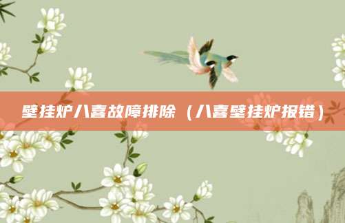 壁挂炉八喜故障排除（八喜壁挂炉报错）