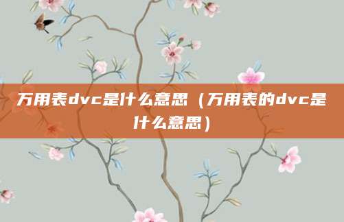 万用表dvc是什么意思（万用表的dvc是什么意思）
