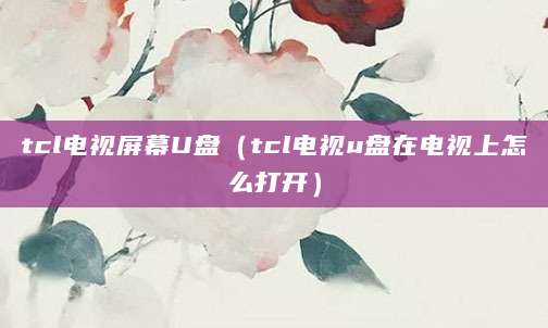 tcl电视屏幕U盘（tcl电视u盘在电视上怎么打开）