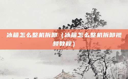 冰箱怎么整机拆卸（冰箱怎么整机拆卸视频教程）