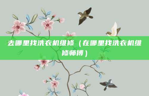去哪里找洗衣机维修（在哪里找洗衣机维修师傅）