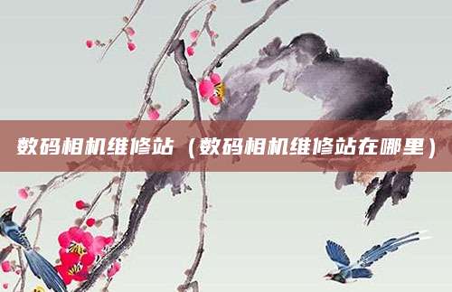 数码相机维修站（数码相机维修站在哪里）