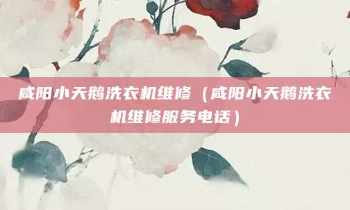 咸阳小天鹅洗衣机维修（咸阳小天鹅洗衣机维修服务电话）