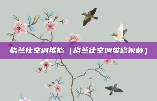 格兰仕空调维修（格兰仕空调维修视频）