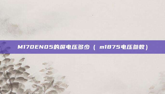 M170EN05的屏电压多少（乚m1875电压参数）