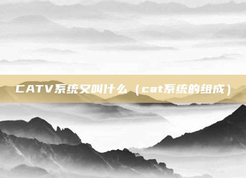 CATV系统又叫什么（cat系统的组成）