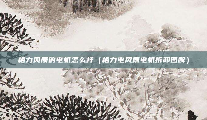 格力风扇的电机怎么样（格力电风扇电机拆卸图解）