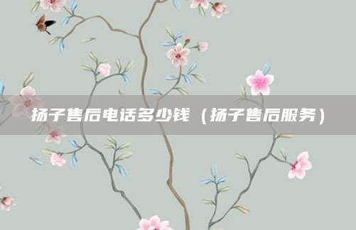 扬子售后电话多少钱(扬子售后服务)