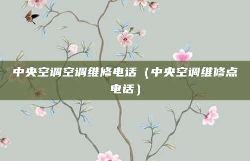 中央空调空调维修电话（中央空调维修点电话）